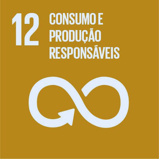 ODS 12, Consumo e Produção Responsáveis