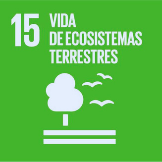 ODS 15, Vida Terrestre